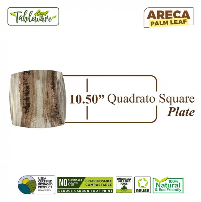 10.5" Quadrato Square Dinner Plate